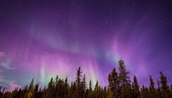 Photo: skiserge1 / iStock / Getty Images Plus / Getty Images