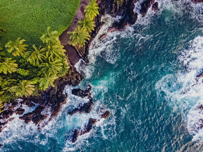 Image: Chiociolla/ iStock / Getty Images Plus/Getty Images